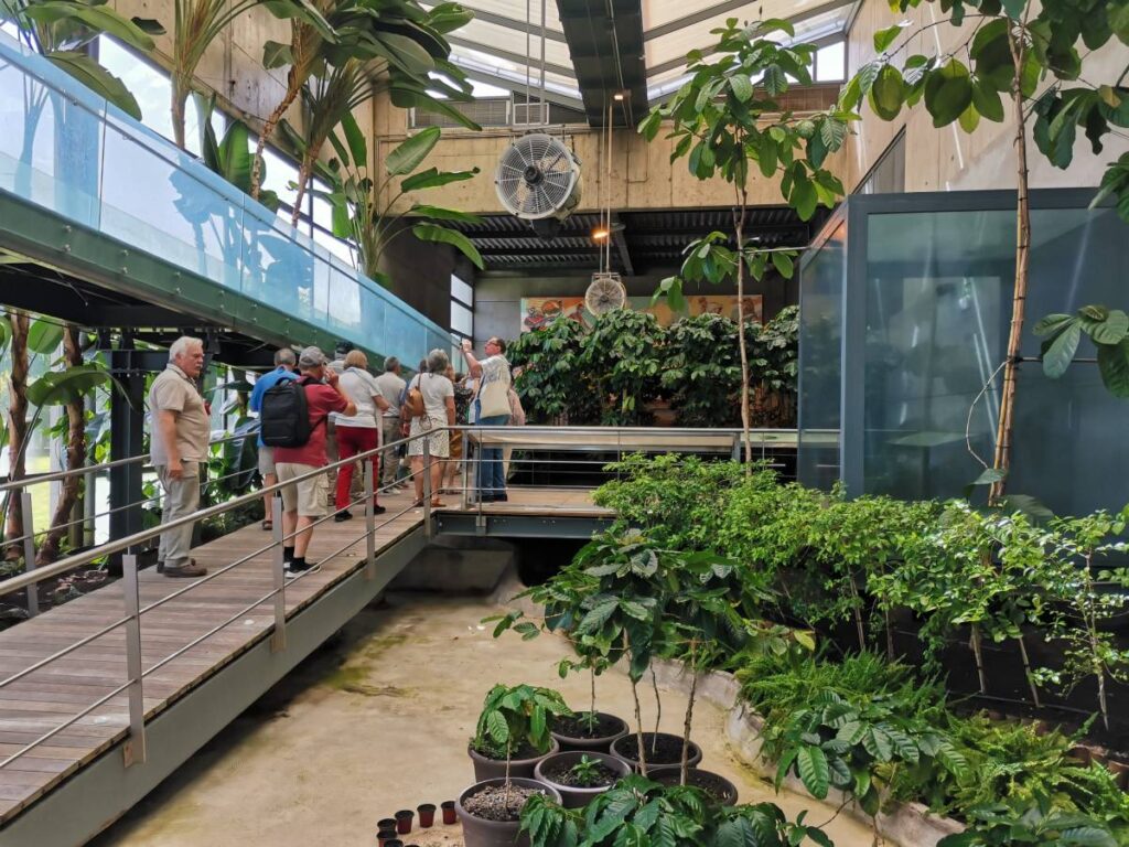 Estufa do Café-Museu Ciência Viva