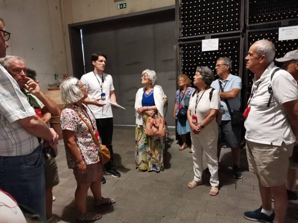 Visita guiada à Adega Maior