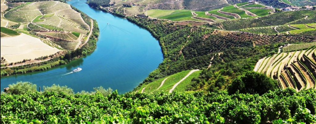 Inscrição Cruzeiro no Douro