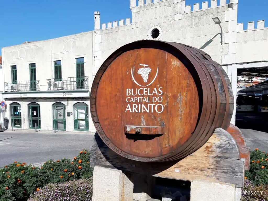 Trail Capital do Arinto 2026