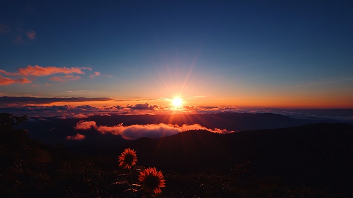 Sunset – DR Aveiro Coimbra