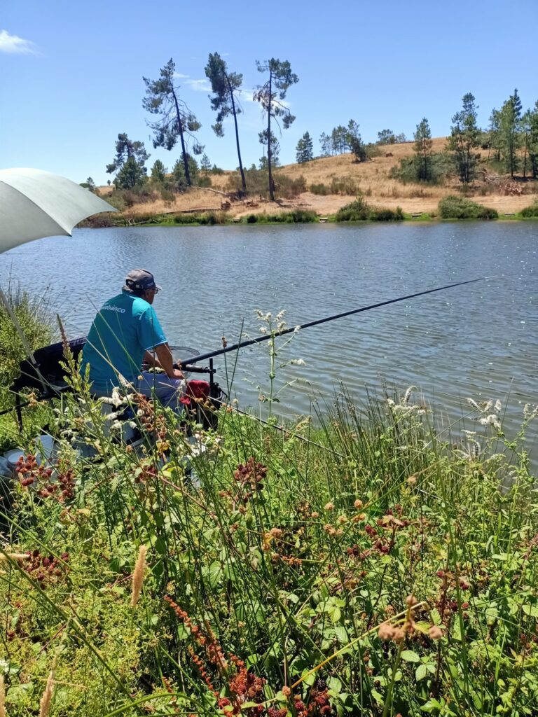 Última Prova de Mar 2026 está a chegar 🎣