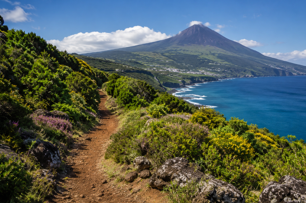 Vila Baleeira Trail Run 2026 – Inscrições abertas